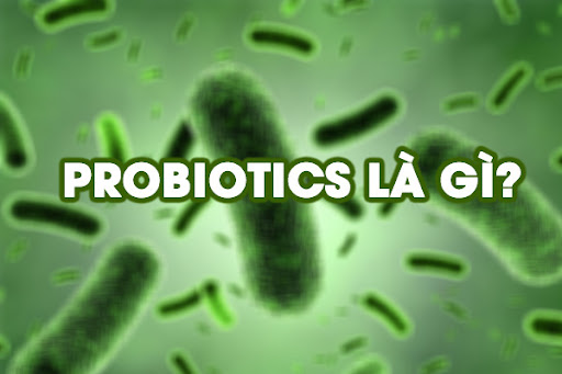 Probiotic là gì? Probiotics là những vi khuẩn tốt, giúp hệ tiêu hóa xử lý thức ăn, duy trì sức khỏe chống lại bệnh tật