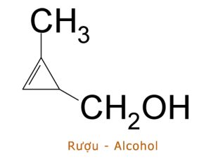 Rượu Alcohol