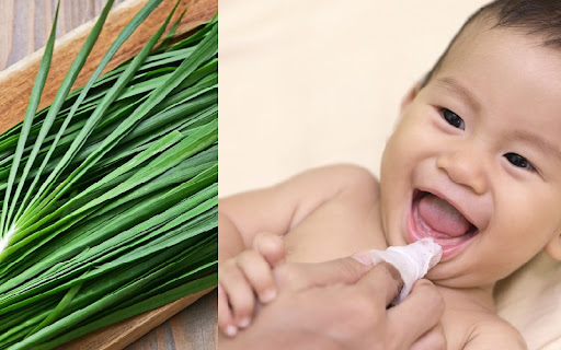 Cách rơ lưỡi cho trẻ bằng lá hẹ được áp dụng khá phổ biến