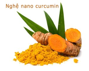 nghệ nano curcumin