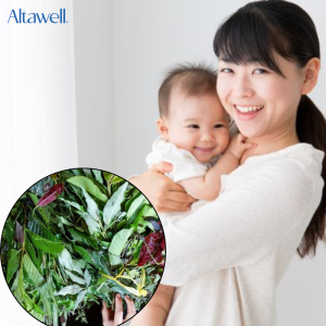 10 loại lá tắm cho trẻ sơ sinh