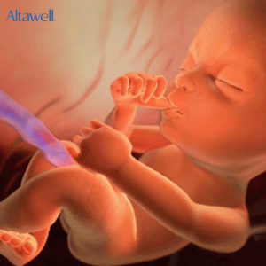 Phát triển giác quan khứu giác đầu tiên ở trẻ