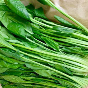 Cải bó xôi