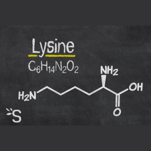 Lysine giúp tăng cơ và chắc khỏe xương